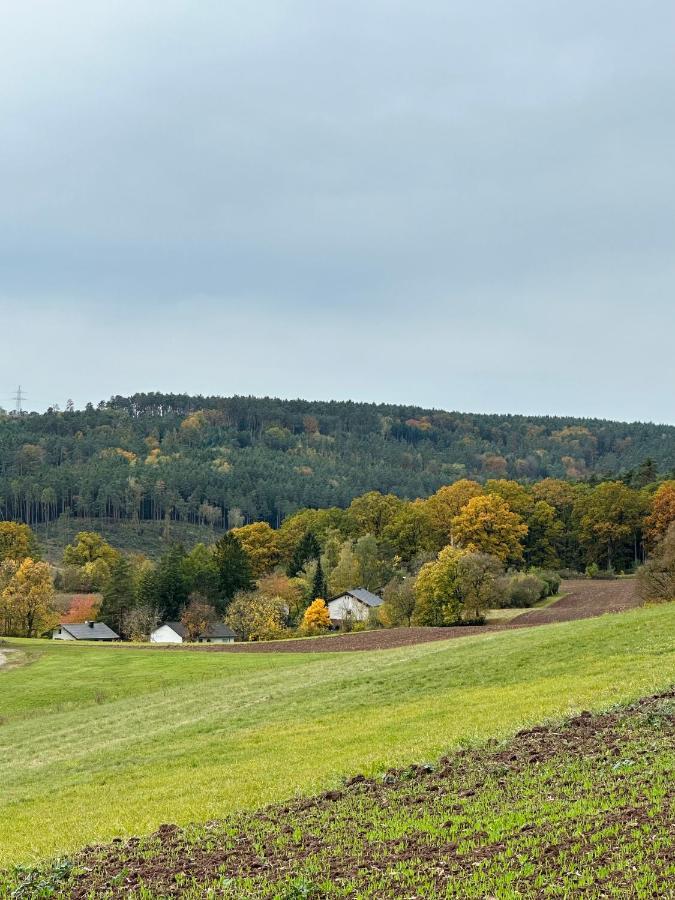 Ferienhaus Ella Trautskirchen Bagian luar foto